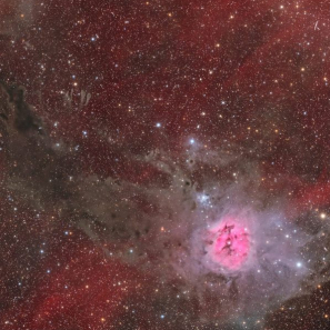 IC5146 - Cocoon Nebula
