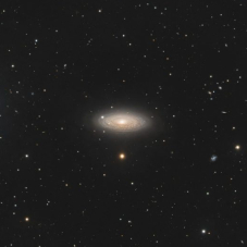 NGC2841