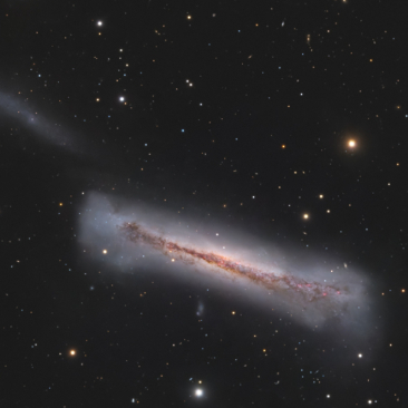 NGC3628 - Hamburger Galaxy