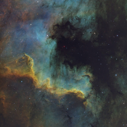 NGC7000 - North America Nebula