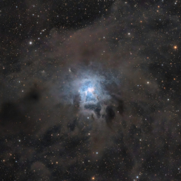 NGC7023 - Iris Nebula